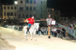 Provaccia saracino 16 08