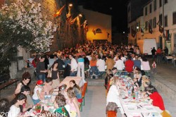 Provaccia saracino 16 10