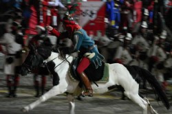 21 06 2008 (721)