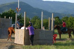 2009