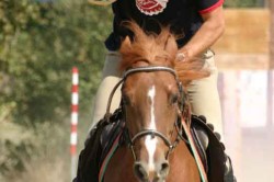Prove settembre 2009