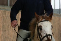 14 Febbraio 2010