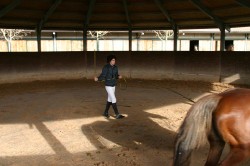 Allenamenti Equestrian Centre