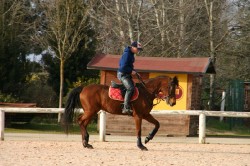 Allenamenti Equestrian Centre
