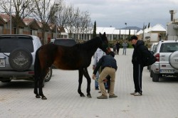 28 Febbraio 2010