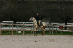 Allenamenti Equestrian Centre