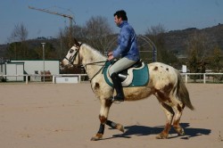 6 Marzo 2010