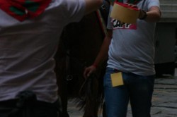 13 06 2010 (207)