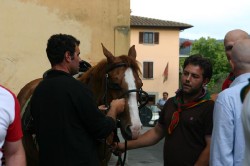 Preparativi