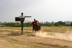2 Giugno 2011 - Campo Prove