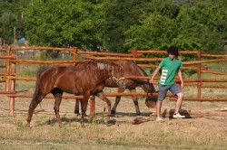 29 05 2011 (264)