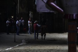 13 06 2011 (136)