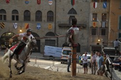 Prove domenica 17