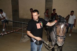 20 06 2012 (132)