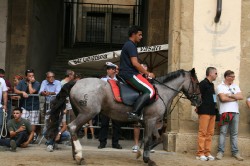 30 08 2012 (262)