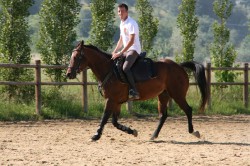 Campo prove previsite   giu