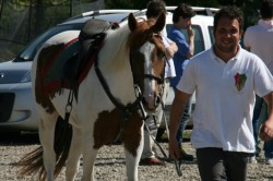 Campo prove previsite   giu