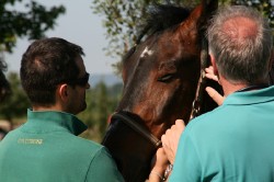 Campo prove previsite   giu