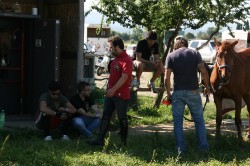 Campo prove previsite   giu
