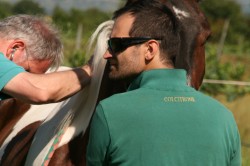 Campo prove previsite   giu