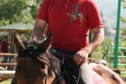 Campo prove previsite   giu