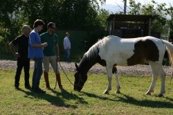 Campo prove previsite   giu