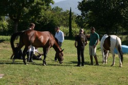 Campo prove previsite   giu