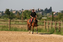 Campo prove previsite   giu