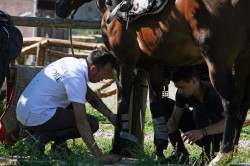 Campo prove previsite   giu