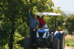 Campo prove previsite   giu