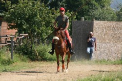 Campo prove previsite   giu