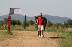 Campo prove previsite   giu