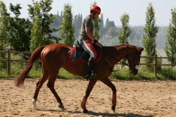 Campo prove previsite   giu