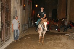 PROVACCIA giovedi 19
