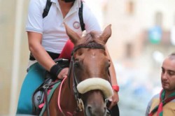 04 09 2014 128 20140925 1854295023
