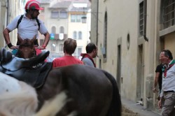 04 09 2014 132 20140925 2099181660