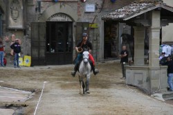 GIOSTRA settembre 2014