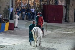 27 08 2016 giostra agosto 333
