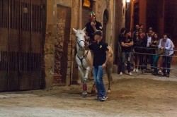 Prove giugno 2016