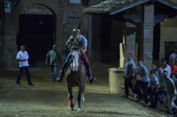 GIOSTRA giugno 2017
