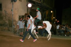 2017 06 14 prove generali 16