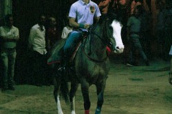 2017 06 14 prove generali 24