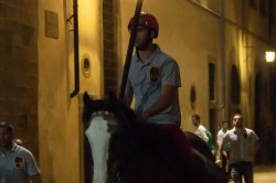 PROVACCIA giovedi 15