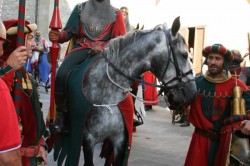 2017 06 17 benedizione 369