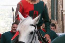 2017 06 17 benedizione 384