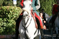 2017 06 17 benedizione 389