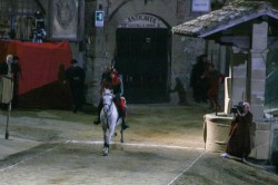 2017 06 17 giostra 685