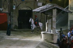 2017 06 17 giostra 691