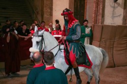 2017 06 17 giostra 745