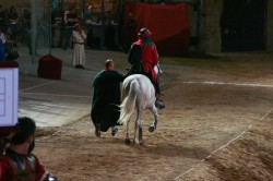 2017 06 17 giostra 766